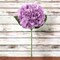 12-Pack: 18.5" Soft Lavender Hydrangea Stem with Silk Leaves by Floral Home®